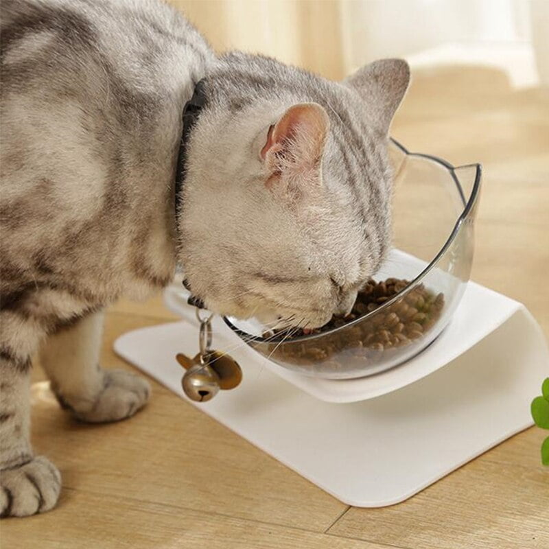 Non-Slip-Double-Cat-Bowl-With-Stand-Pet-Feeding-Bowl-Water-Bowl-For-Kitten-Pet-Food-4