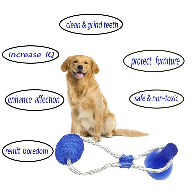 Pet-Toys-with-Suction-Cup-Dog-Push-Toy-with-TPR-Ball-Pet-Tooth-Cleaning-Chewing-Rubber-2